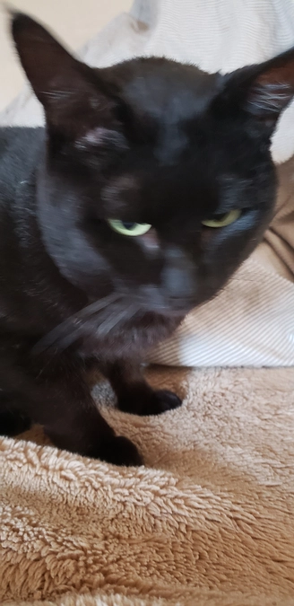 昨日夜今日のコウちゃん