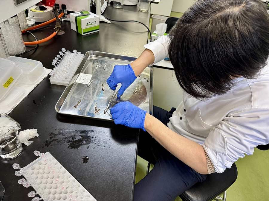 2年目の調査研究、ついに始動です。