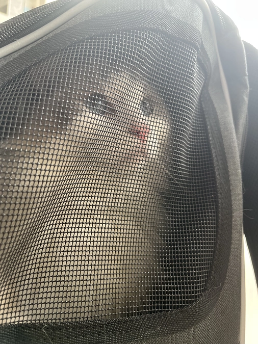 0822 ソラ定期検診