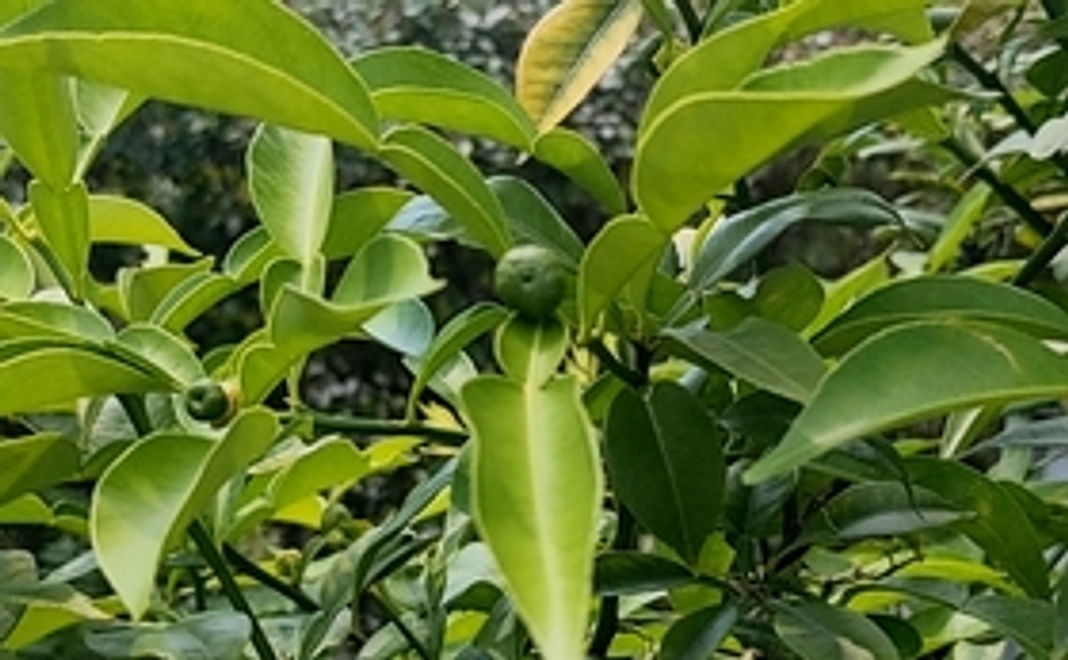 感謝のメールを贈ります!