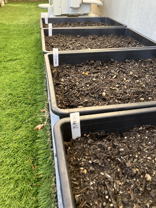 R7.3.9（日）ひなむぎ工房の育苗活動〜持続可能な里山保全活動に向けて