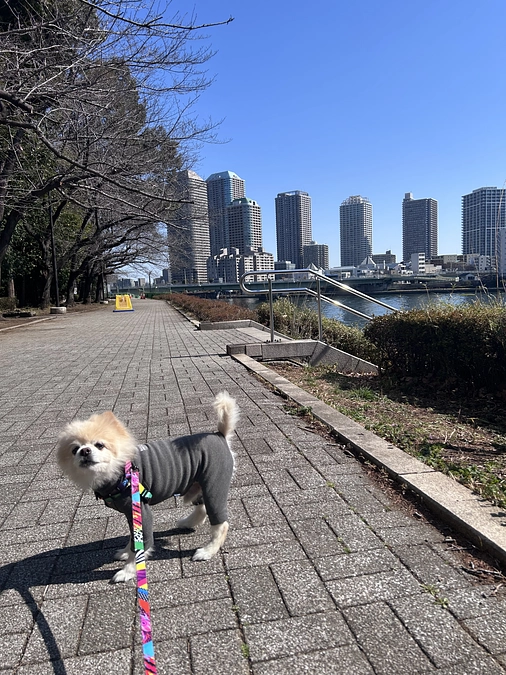 24/59 ☆ 遣る瀬ない気持ち