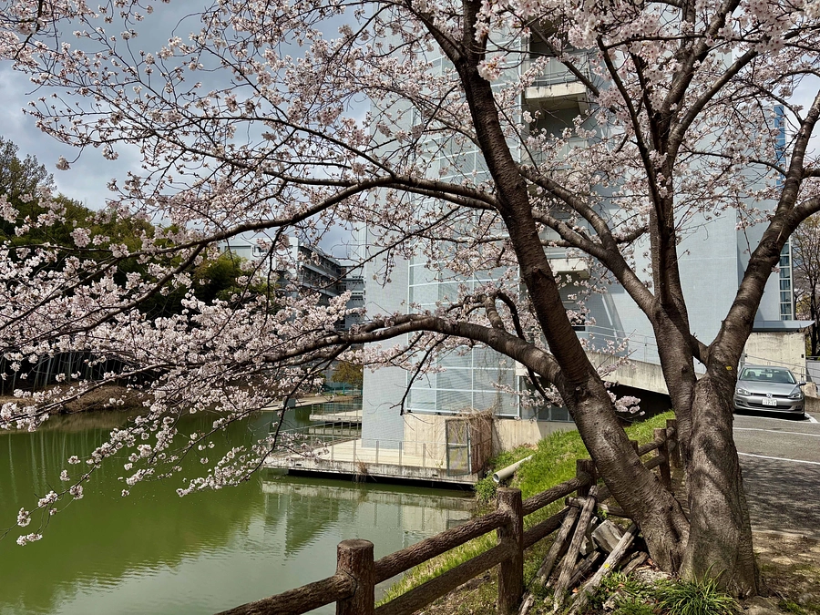 ご支援ありがとうございます！