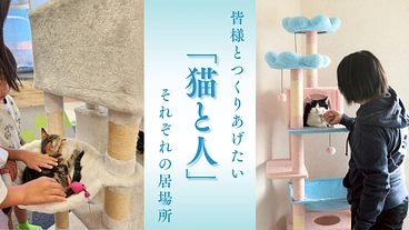 保護猫活動から見えた社会問題、人にも猫にも寄り添える場所を作りたい のトップ画像