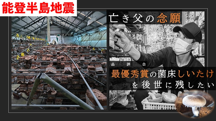 能登半島地震｜亡き父の念願、品評会最優秀賞の菌床しいたけを後世へ