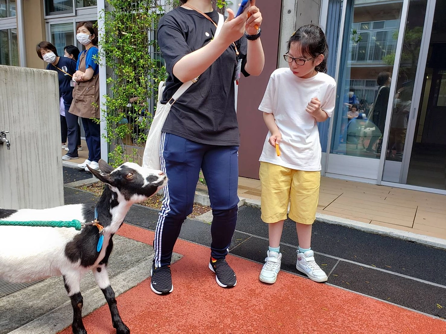 (7)板橋区「東京都立志村学園」