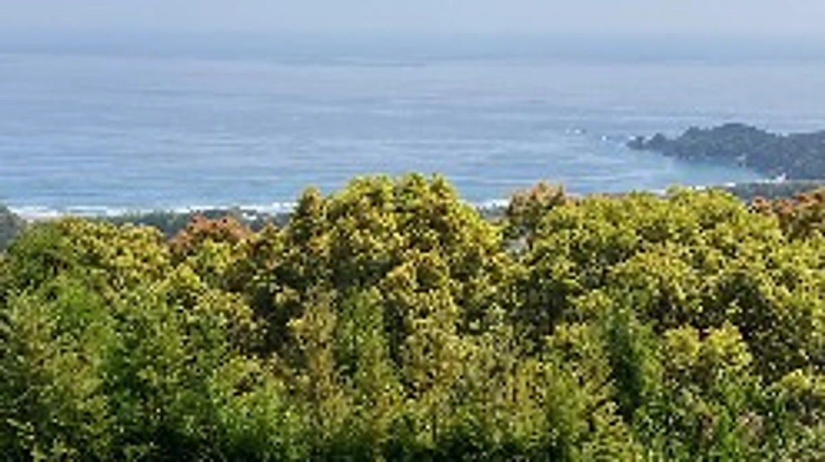 4/30（火）プロジェクト成立のお礼と感じたこと