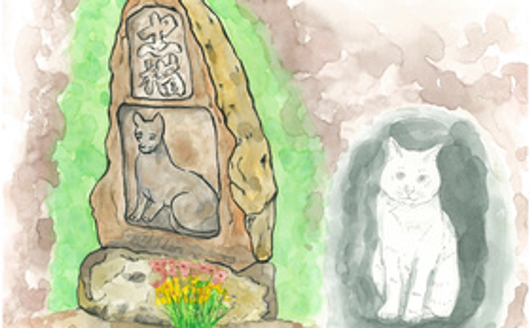 お礼＋サンクスレターと紙芝居ＤＶＤ