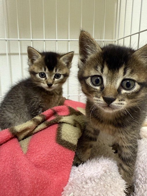 とても賑やかな時期に突入！