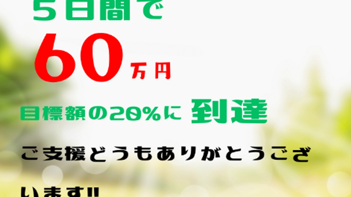第6弾プロジェクト【60万円突破！】あわねこ保育園の毎日