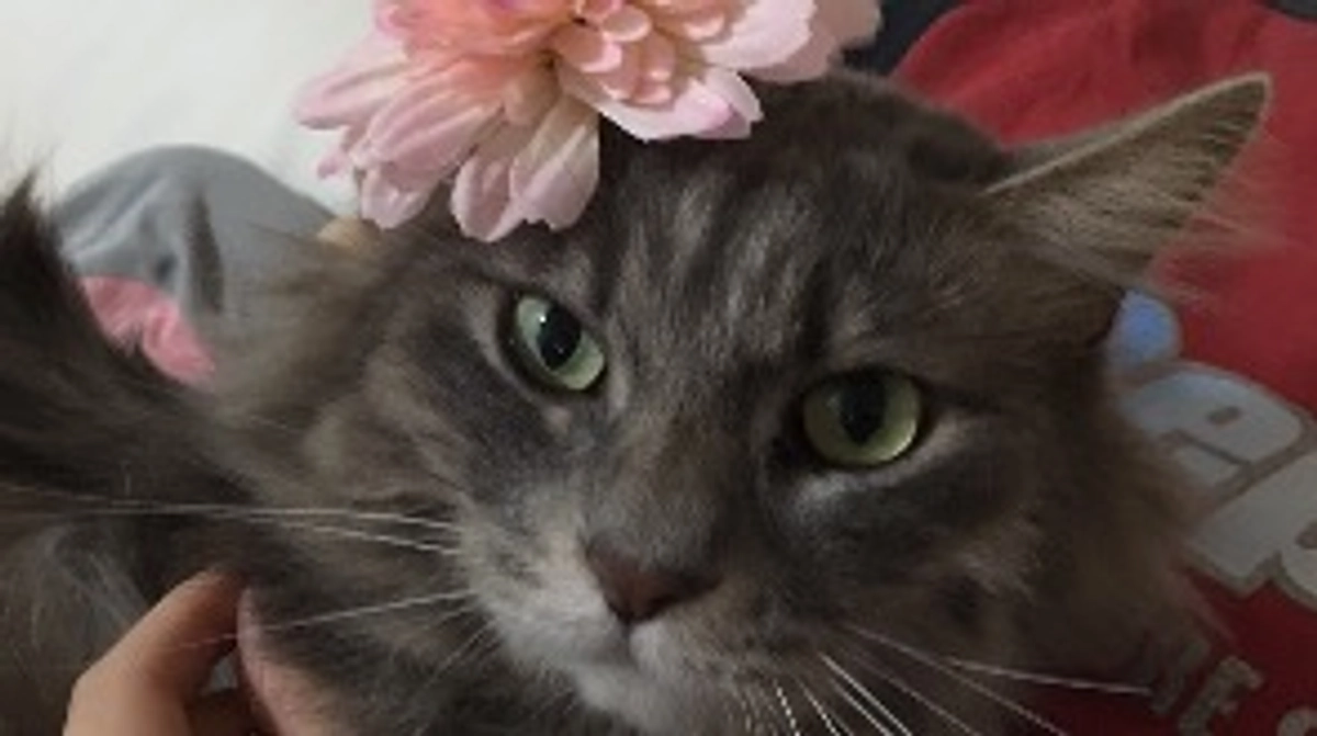 残り6日となりました！