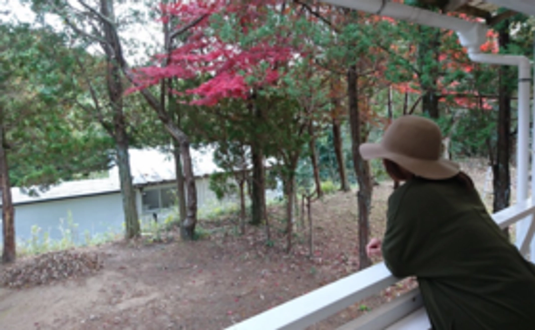 利用券 平日1泊、2名まで宿泊可