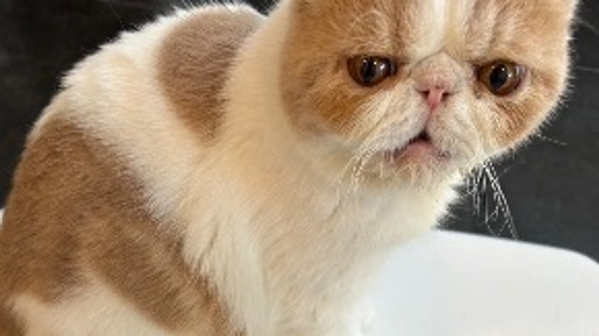 便秘再来😱体重爆増