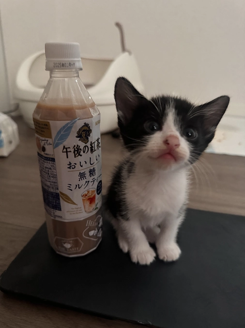 クラウドファンディング達成のご報告と、心からの感謝を込めて✨