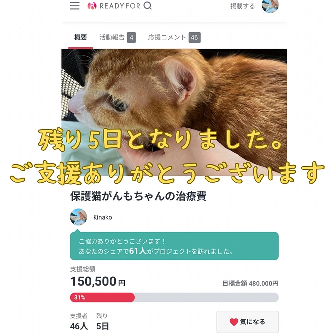 クラウドファンディングの治療費は一部です｡ﾟ(ﾟ´ω`ﾟ)ﾟ｡