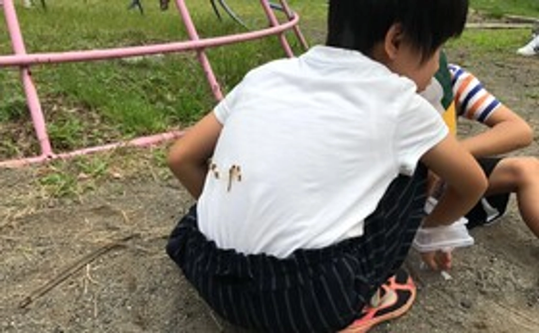 軽井沢学園リターンⅡ（リターンⅠ+ホームページにお名前の掲載（希望者のみ））