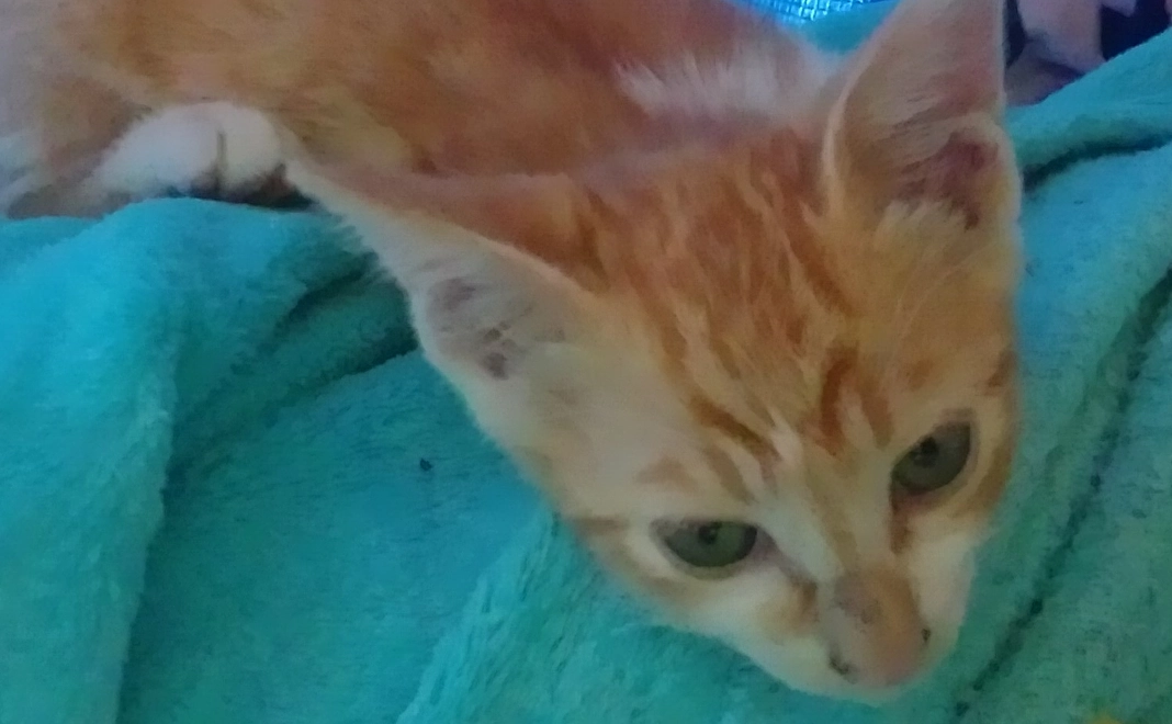 お礼に感謝のメールお送り致します！！