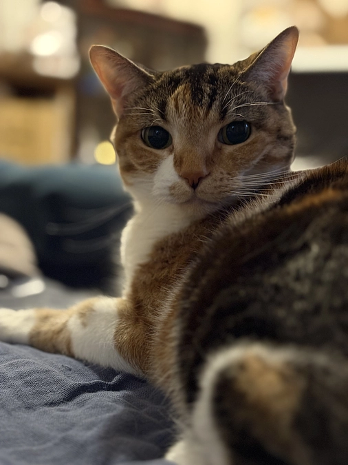 ロビンの近況報告