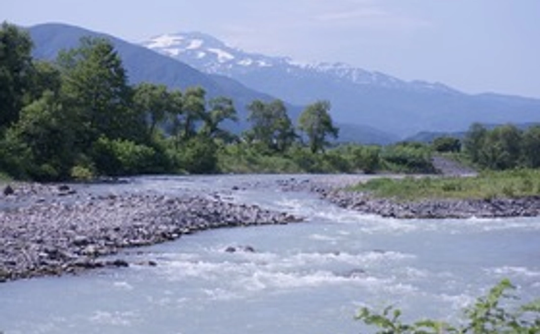イベント招待！お得なクーポン付き