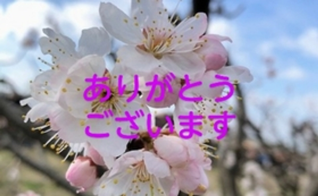 お気持ちコース1