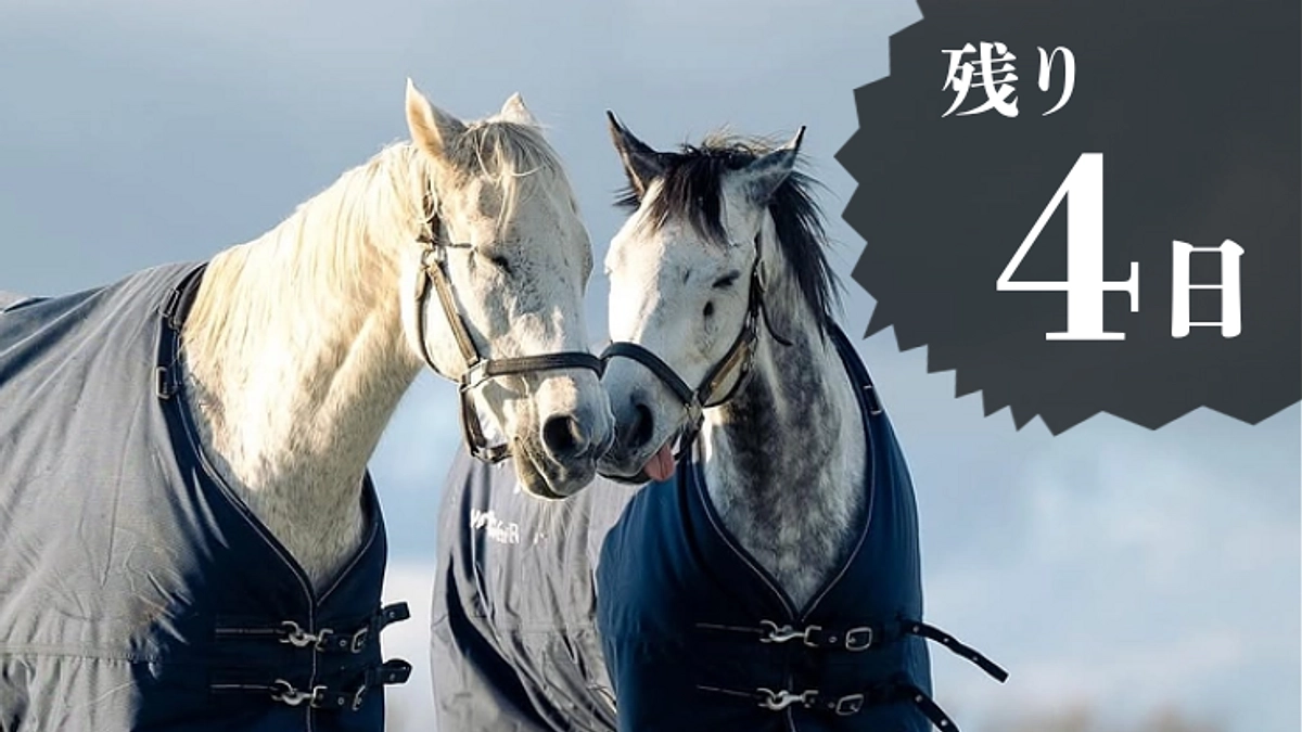 【残り4日】皆様からの応援コメントをご紹介