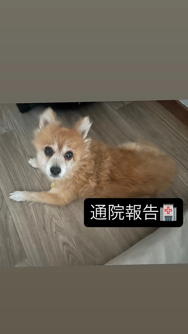 🆘残り79時間🆘定期検診🏥