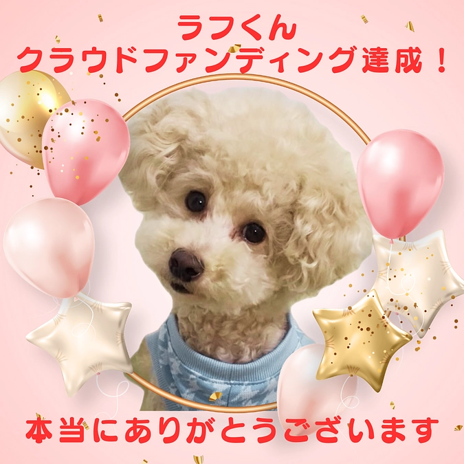 ラフくんプロジェクト達成のご報告