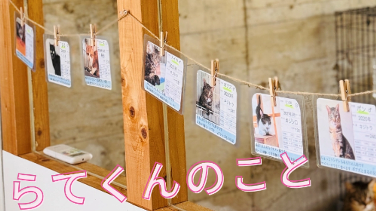 らてくんのこと