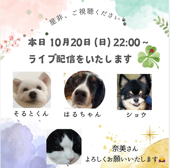 本日、Instagramにてライブ配信に参加いたします🐾