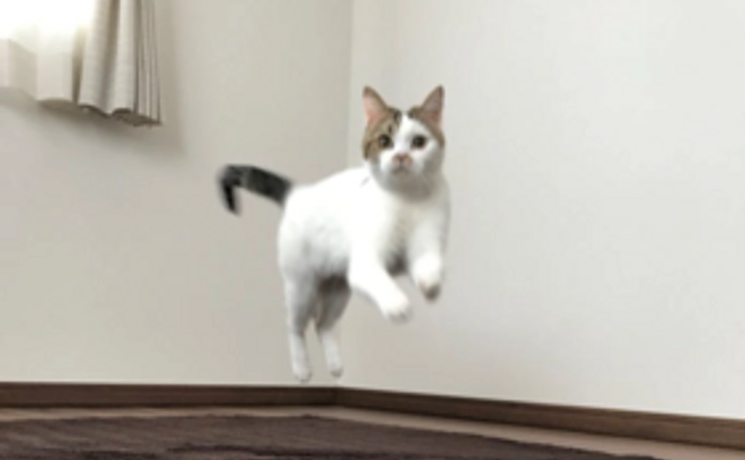 ぽてとを応援！