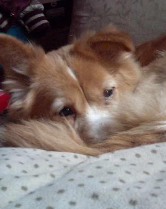 ……何してたの⁈（ひなこさんとミニーさん）