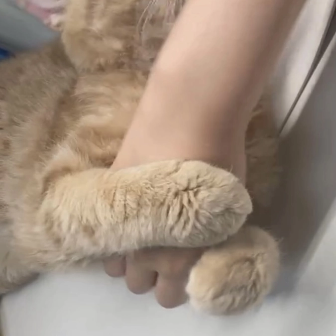 【お礼】お二人の方にご支援を頂くことができました