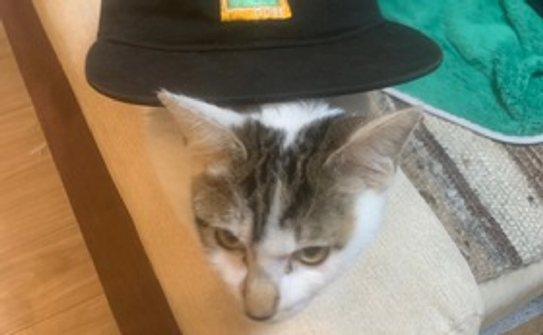 クフへの応援01