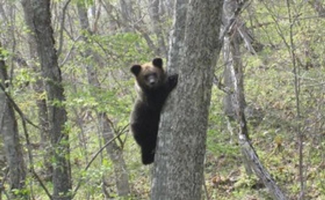 ＜個人向けコース＞研究林デジタル写真集