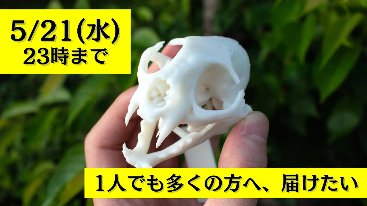 【残り1日】この挑戦を、もっと多くの方へ届けたい