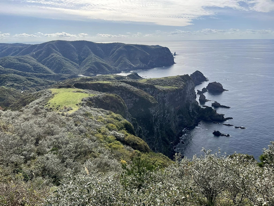 間もなく目標の25%！ 神在月、出雲そば、民藝、、、