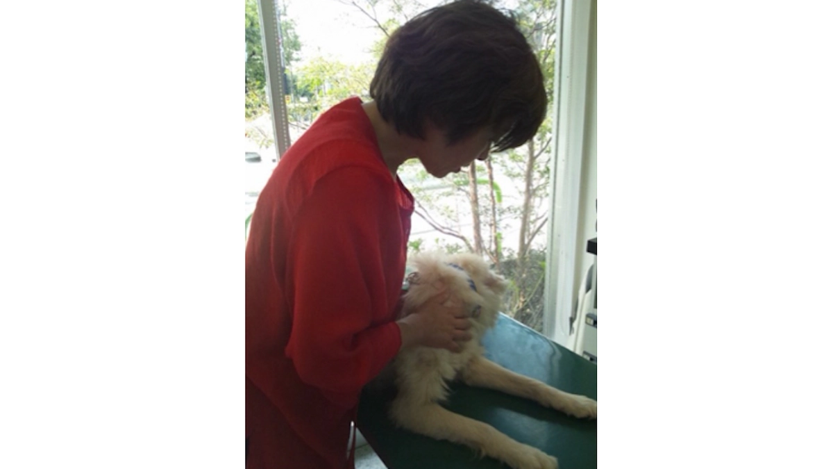 【終了まであと4日！最終目標まであと146万円】アリススタッフのご紹介〜小さな命を救うリレー〜