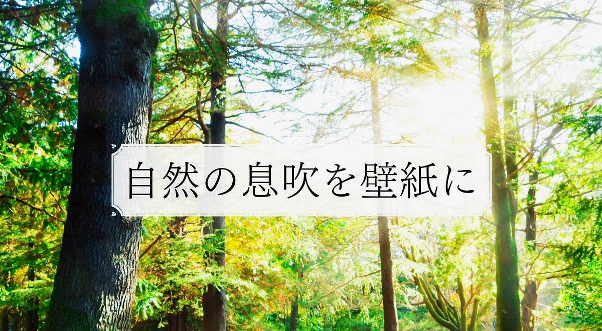 「天然木　壁紙シート」専用ホームページのご紹介