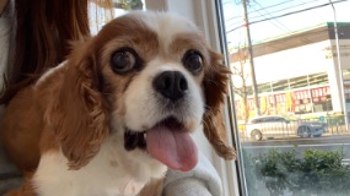 術後15日目。症状悪化してしまいました…