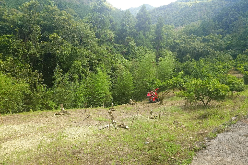 締め切りまで残り15日