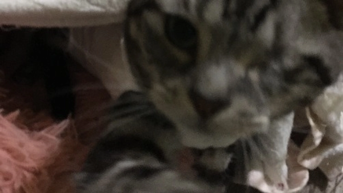 残り3日となりました。