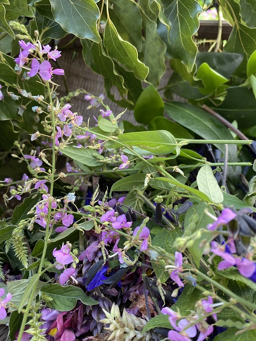 【最後の活動報告】父がおしえてくれたこと。