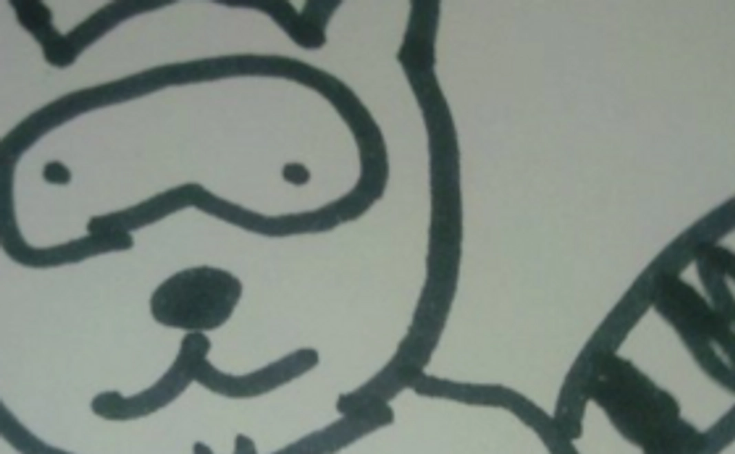 サンクスレター＋活動通信