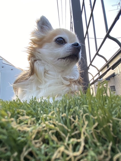 感謝です☺️✨