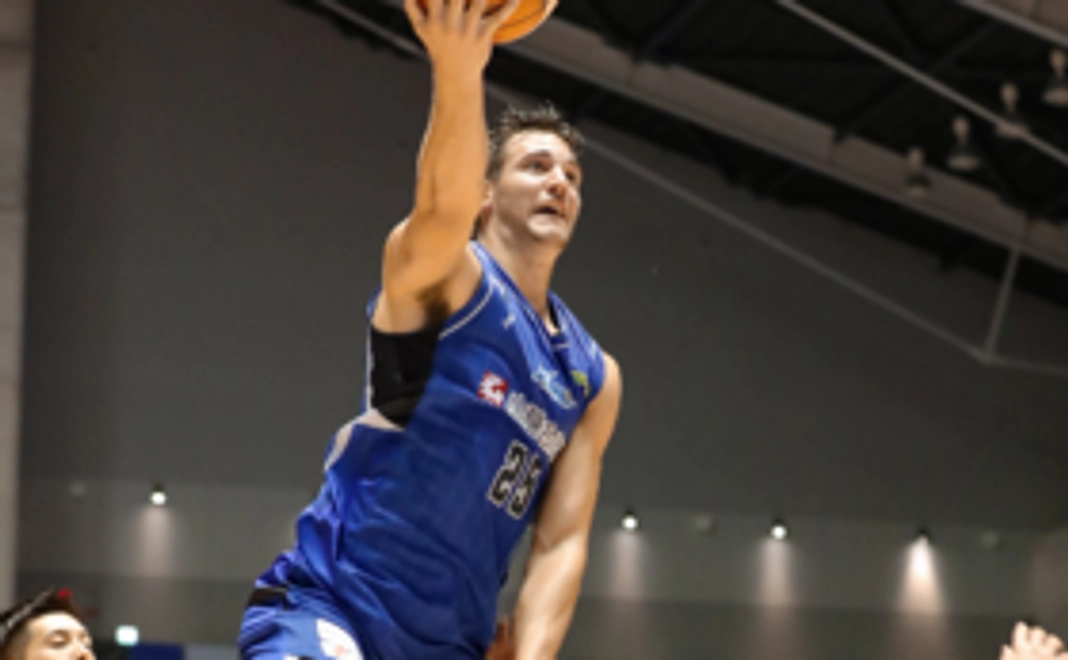 限定ステッカー