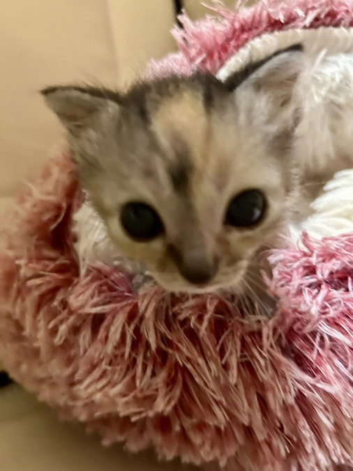 モヤモヤさせちゃいましたm(_ _)m