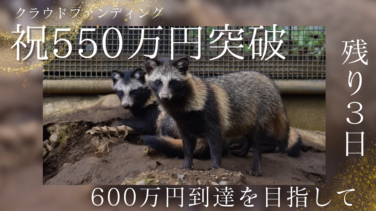 【クラファン終了まであと3日】550万突破！！ 600万円まであと少し！！
