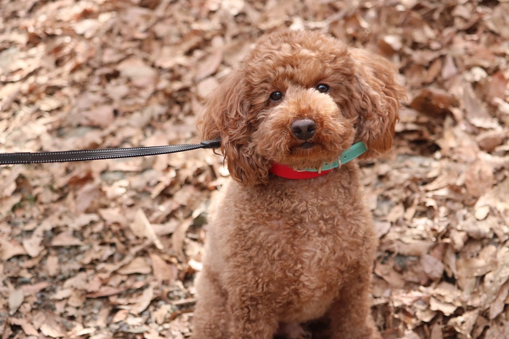 残り30分となりました。