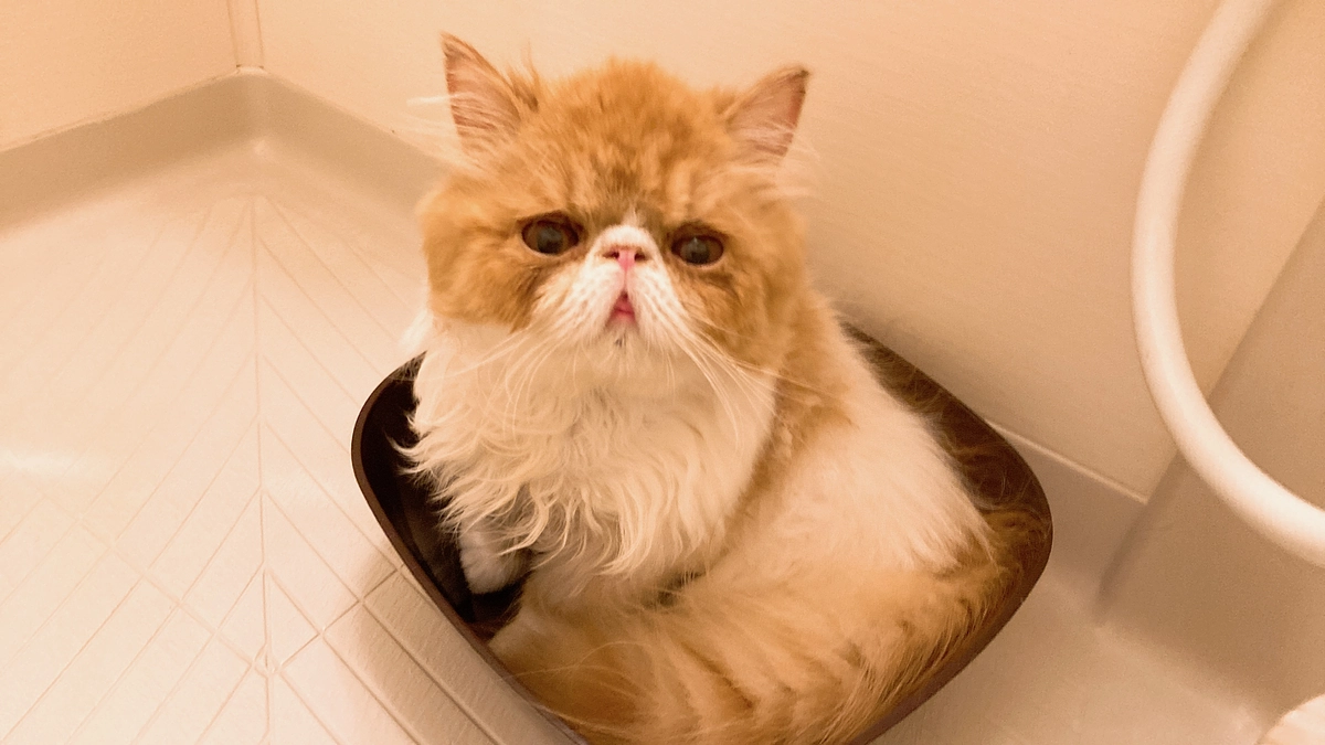 インターネットでの登録や支援が難しい方へ、代理支援が可能です