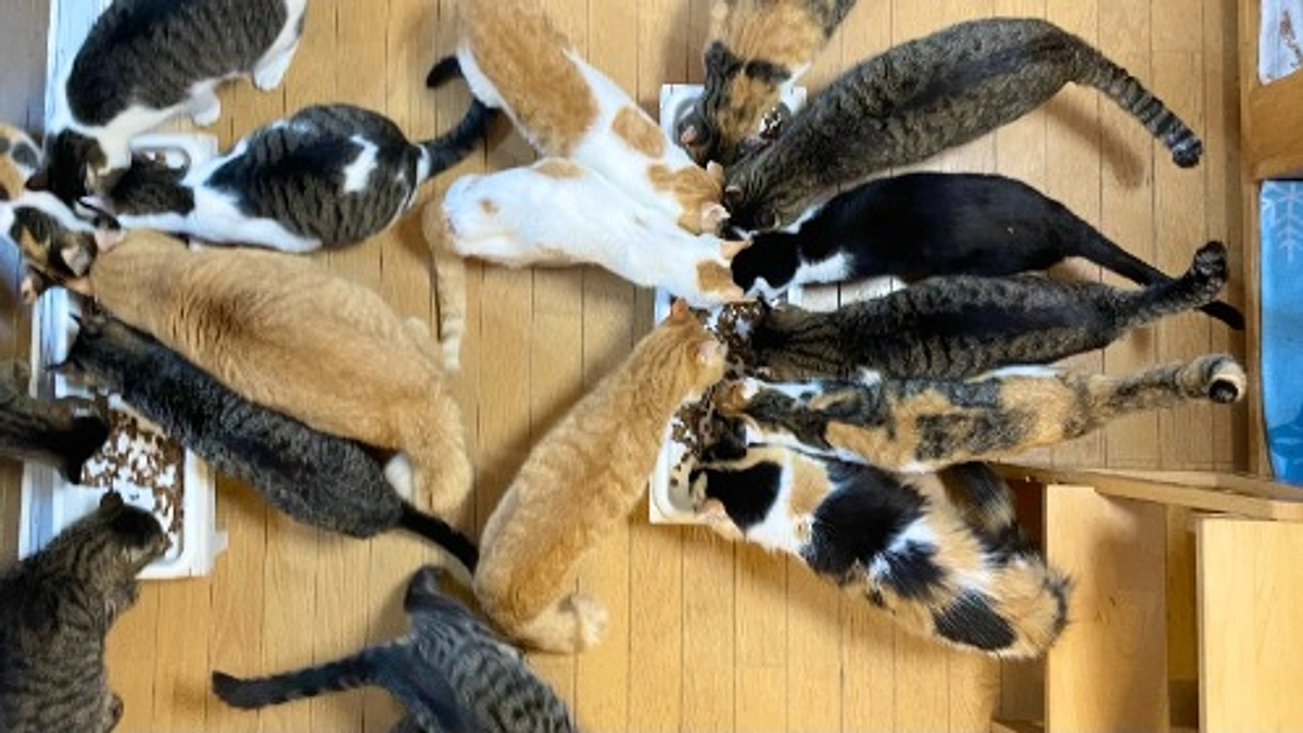 ラストスパートにご支援を！